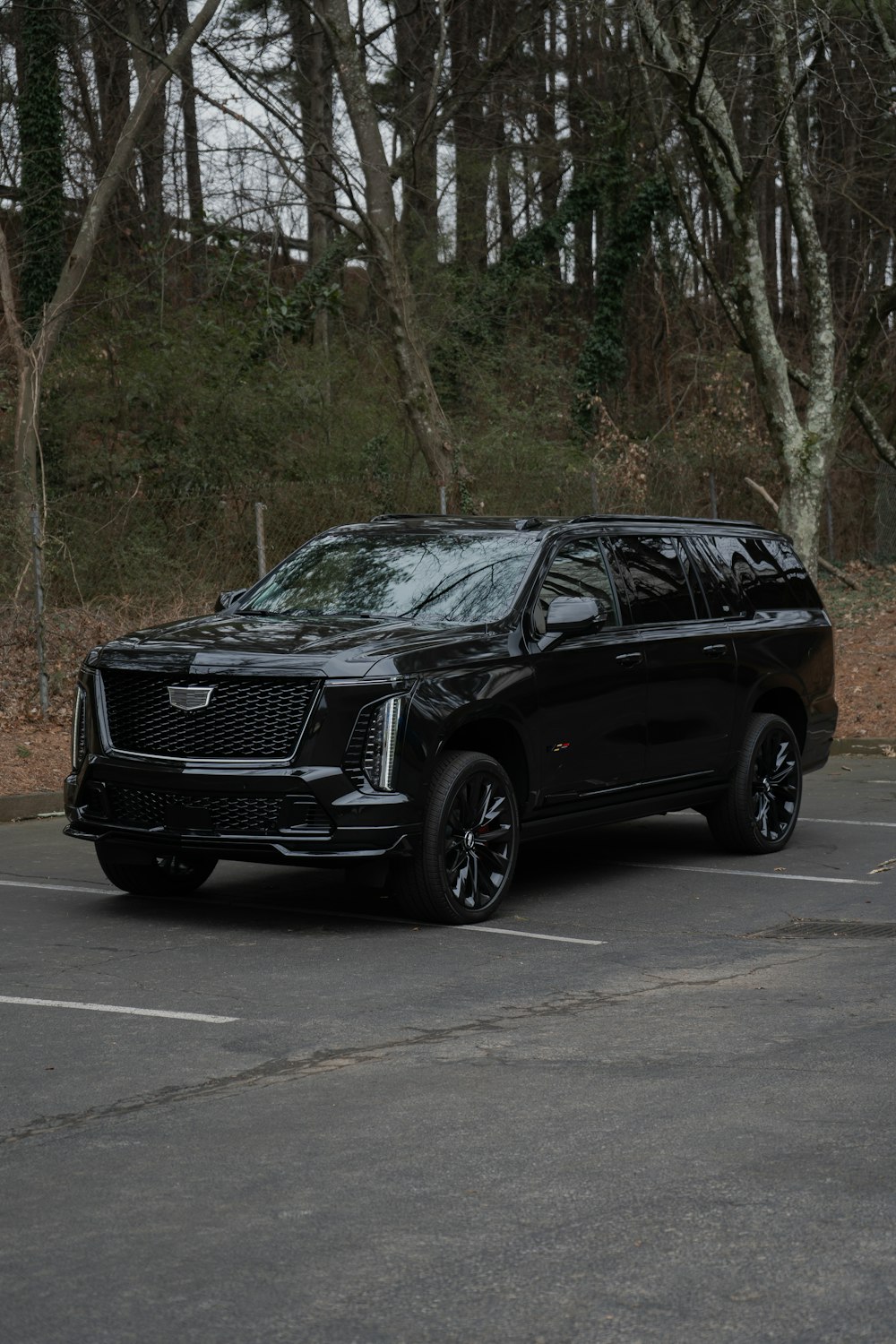 Black luxury SUV parked among trees